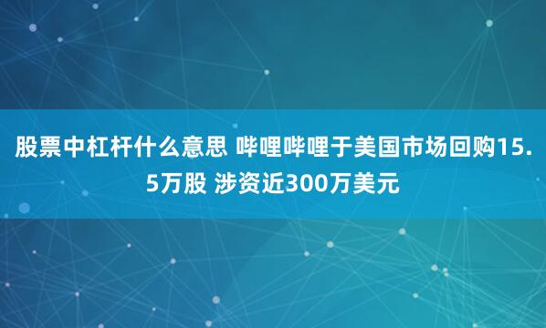 股票中杠杆什么意思 哔哩哔哩于美国市场回购15.5万股 涉资近300万美元