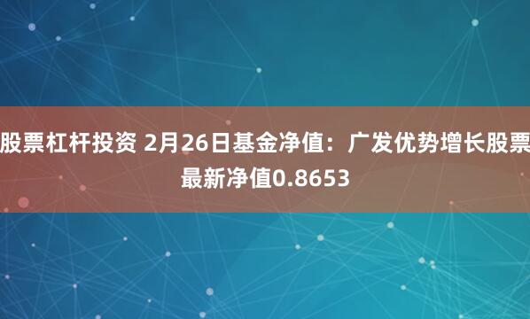 股票杠杆投资 2月26日基金净值：广发优势增长股票最新净值0.8653