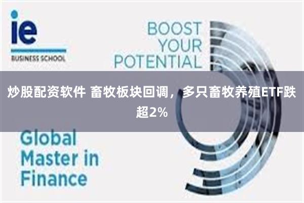 炒股配资软件 畜牧板块回调，多只畜牧养殖ETF跌超2%