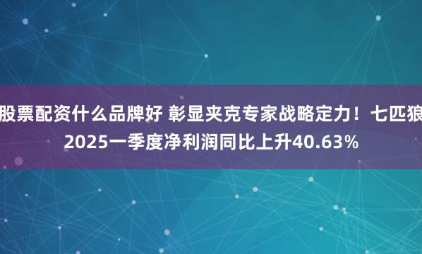 股票配资什么品牌好 彰显夹克专家战略定力！七匹狼2025一季度净利润同比上升40.63%