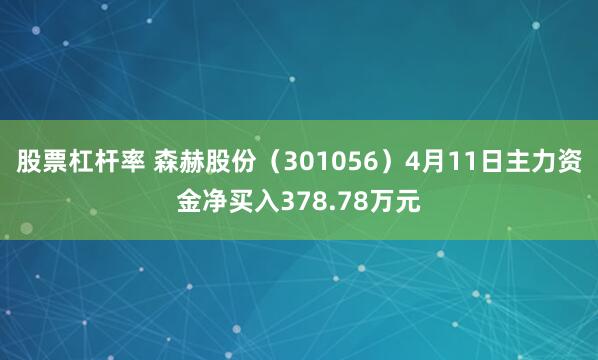 股票杠杆率 森赫股份（301056）4月11日主力资金净买入378.78万元