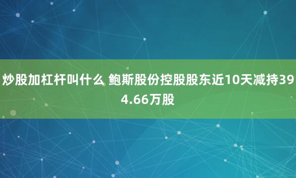炒股加杠杆叫什么 鲍斯股份控股股东近10天减持394.66万股