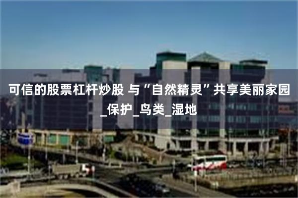 可信的股票杠杆炒股 与“自然精灵”共享美丽家园_保护_鸟类_湿地
