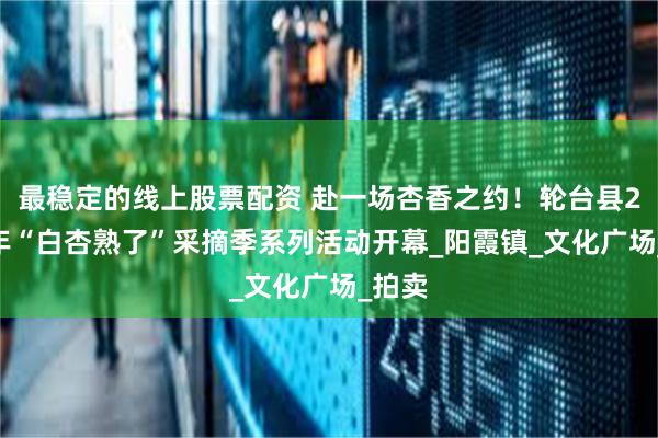 最稳定的线上股票配资 赴一场杏香之约！轮台县2025年“白杏熟了”采摘季系列活动开幕_阳霞镇_文化广场_拍卖