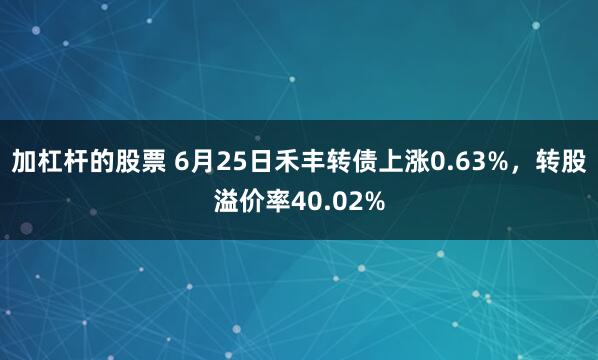 加杠杆的股票 6月25日禾丰转债上涨0.63%，转股溢价率40.02%
