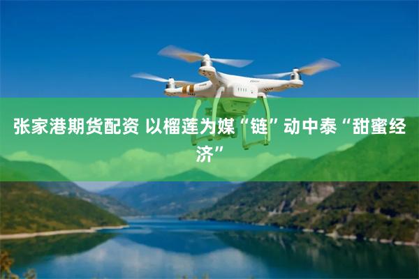 张家港期货配资 以榴莲为媒“链”动中泰“甜蜜经济”