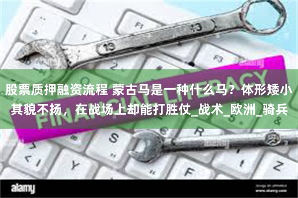 股票质押融资流程 蒙古马是一种什么马？体形矮小其貌不扬，在战场上却能打胜仗_战术_欧洲_骑兵