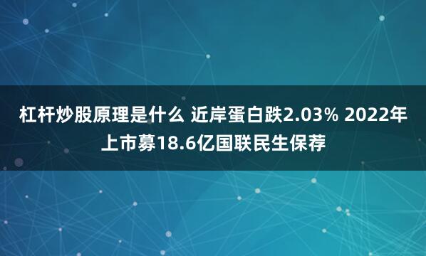 杠杆炒股原理是什么 近岸蛋白跌2.03% 2022年上市募18.6亿国联民生保荐